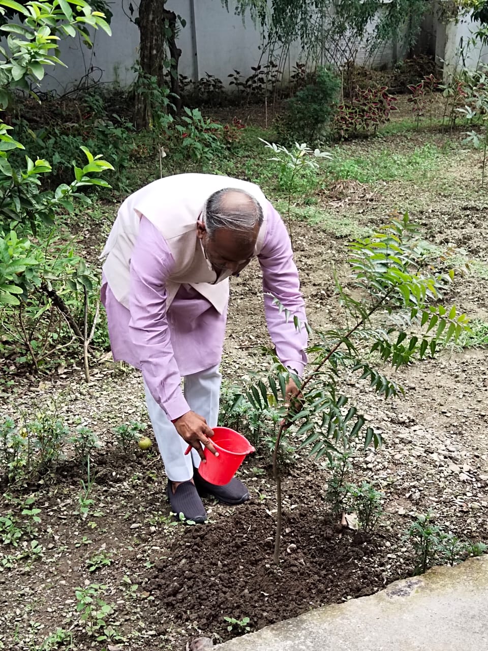 Planting-Trees